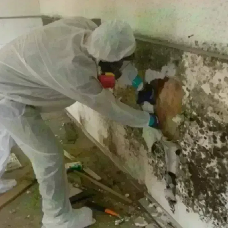 Mold Remediation and Removal in Fond du Lac, WI