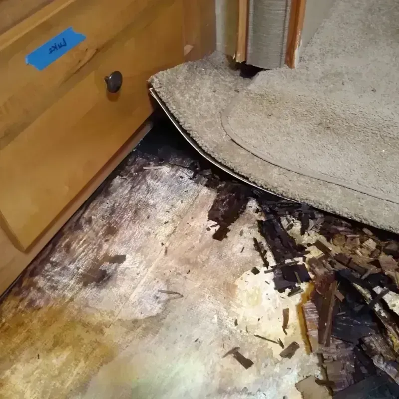 Wood Floor Water Damage in Fond du Lac, WI